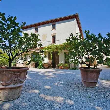 Holiday Vigne Di Pace Peg011008 Cya *